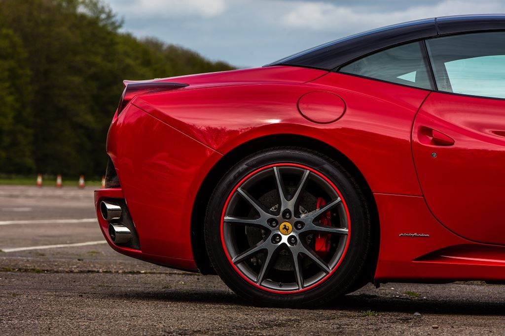 Alloygator Red Alloygator rood